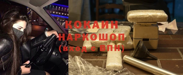 стаф Магадан