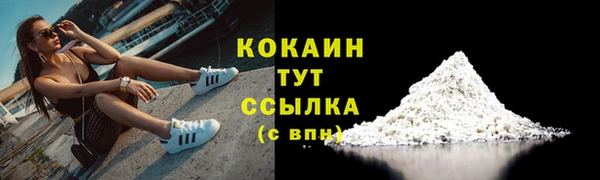 ПСИЛОЦИБИНОВЫЕ ГРИБЫ Медвежьегорск