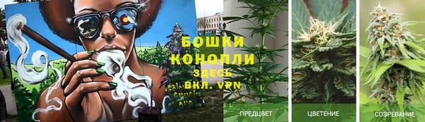Альфа ПВП Майский