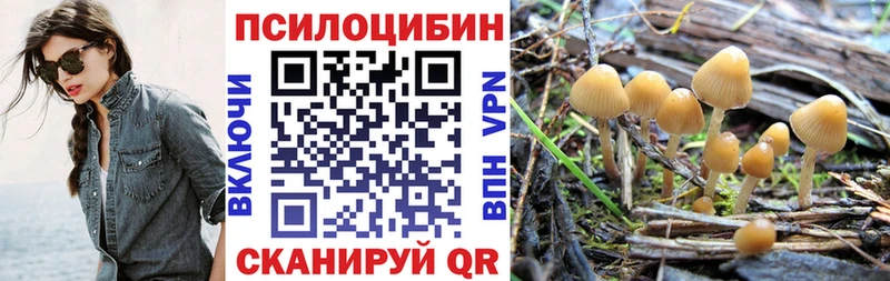 как найти закладки  Усть-Катав  Псилоцибиновые грибы мицелий 